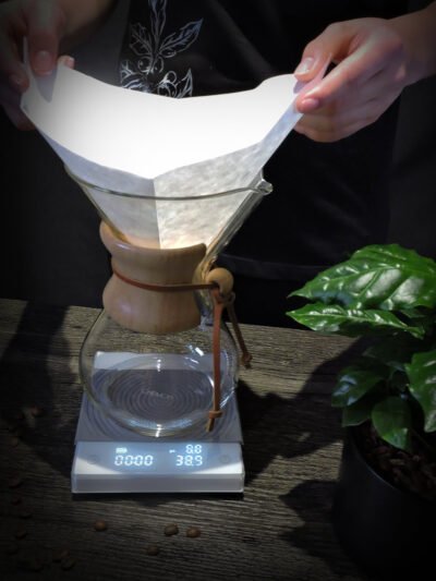 CHEMEX® Half Moon Filters