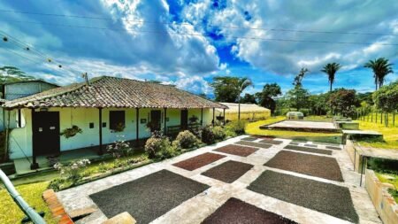  Specialty coffee for Christmas Gift - La Reserva Espresso - 250 g | image - 5