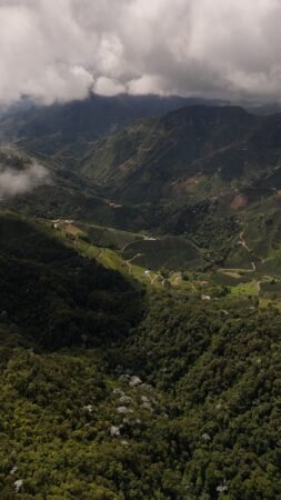  Specialty coffee for Christmas Gift - La Reserva Classic - 340 g | image - 3