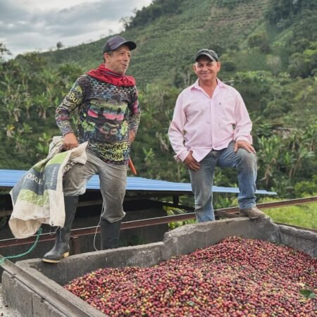  Specialty coffee for Christmas Gift - La Reserva Classic - 340 g | image - 4