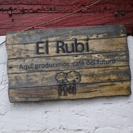  Specialty coffee for Christmas Gift - Cold Brew Coffee - 250 g | image - 3