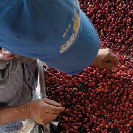  Specialty coffee for Christmas Gift - Cold Brew Coffee - 250 g | image - 4