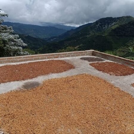  Specialty coffee for Christmas Gift - Cold Brew Coffee - 250 g | image - 5