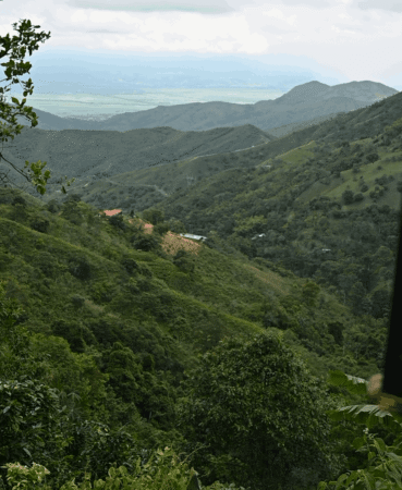  Specialty coffee for Christmas Gift - PURE INTENSITY - 300 g | image - 2