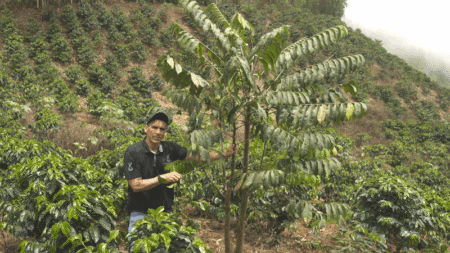  Specialty coffee for Christmas Gift - PURE INTENSITY - 300 g | image - 1