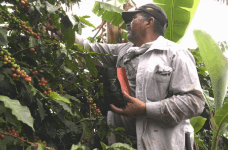  Specialty coffee for Christmas Gift - PURE INTENSITY - 300 g | image - 5