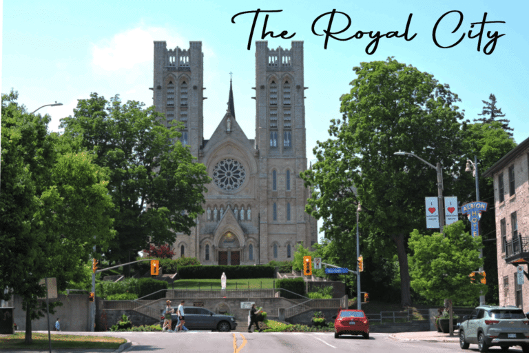 Local Coffee Roasters in Guelph: Direct Trade With Purpose
