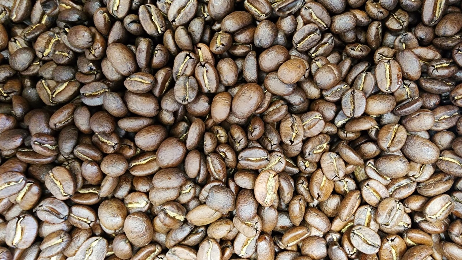Top Specialty coffee for christmas gift ideas
