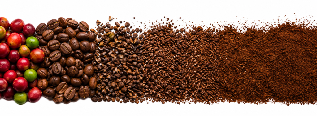 Coffee grind size comparison from whole beans to fine grind for brewing specialty coffee at home